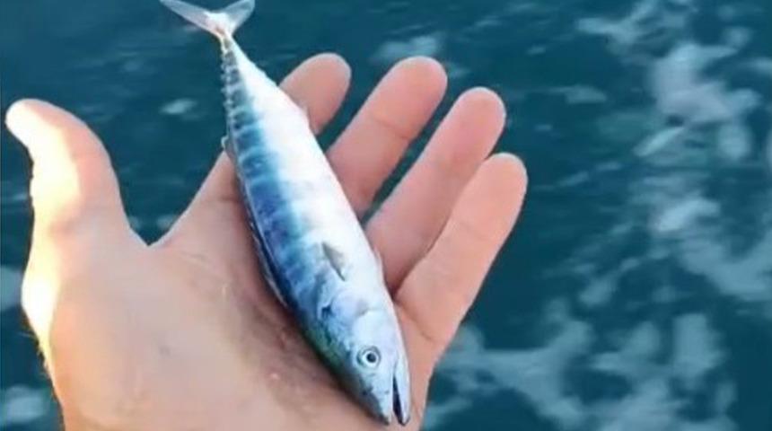 Sezonun uğurunu ellerinde tuttu! Sayılı g&uuml;n kala heyecan yarattı