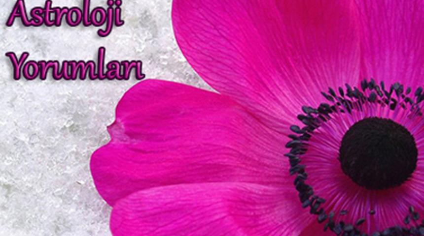 Aralık 2014 aylık bur&ccedil; yorumları