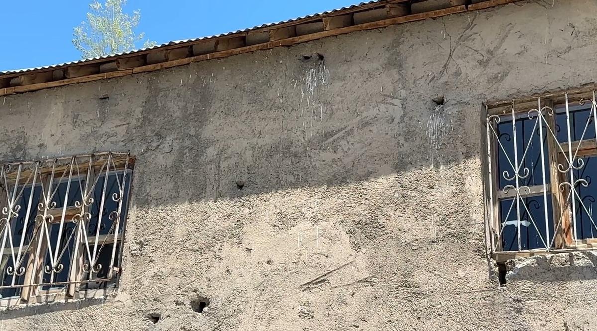 Evleri yılan yuvasına döndü! Mimarisi yılanları kendine çekiyor olabilir 2
