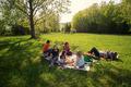 Piknik yapacaklar dikkat! Bu hatan�n cezas� 1,9 milyon TL 
