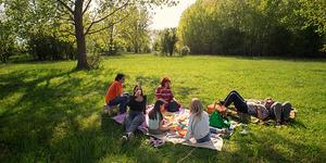 Piknik yapacaklar dikkat! Bu hatanın cezası 1,9 milyon TL 