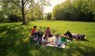 Piknik yapacaklar dikkat! Bu hatanın cezası 1,9 milyon TL 