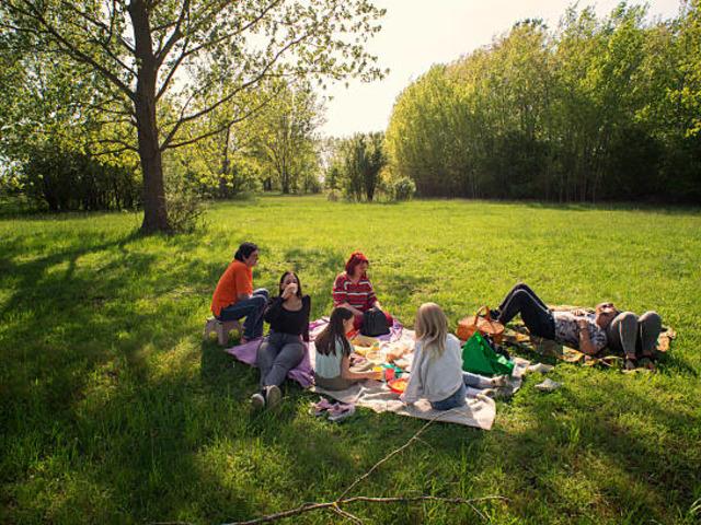 Piknik yapacaklar dikkat! Bu hatanın cezası 1,9 Milyon TL 