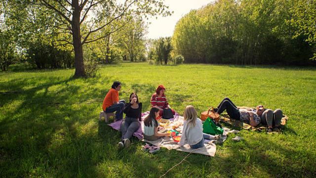 Piknik yapacaklar dikkat! Bu hatanın cezası 1,9 milyon TL 