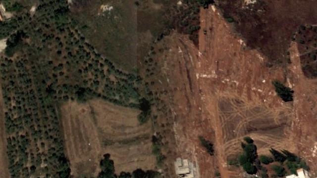 İsrail sonunda bunu da yaptı! Zeytin ağaçlarını çaldılar: Kökleriyle birlikte sökülüp götürüldü