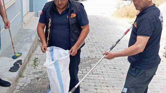 Eve giren yılan paniğe neden oldu