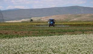 Erzincan'da tarımsal &uuml;retim alternatif &uuml;r&uuml;nlerle g&uuml;&ccedil;leniyor