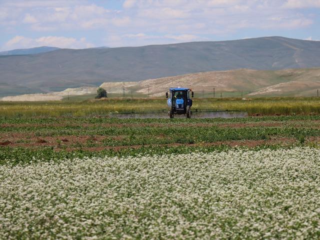 Erzincan'da tarımsal &uuml;retim alternatif &uuml;r&uuml;nlerle g&uuml;&ccedil;leniyor