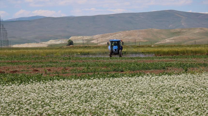 Erzincan'da tarımsal &uuml;retim alternatif &uuml;r&uuml;nlerle g&uuml;&ccedil;leniyor