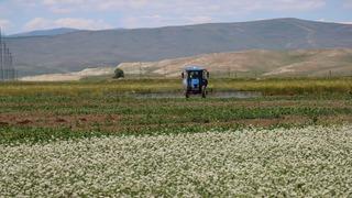 Erzincan'da tarımsal üretim alternatif ürünlerle güçleniyor