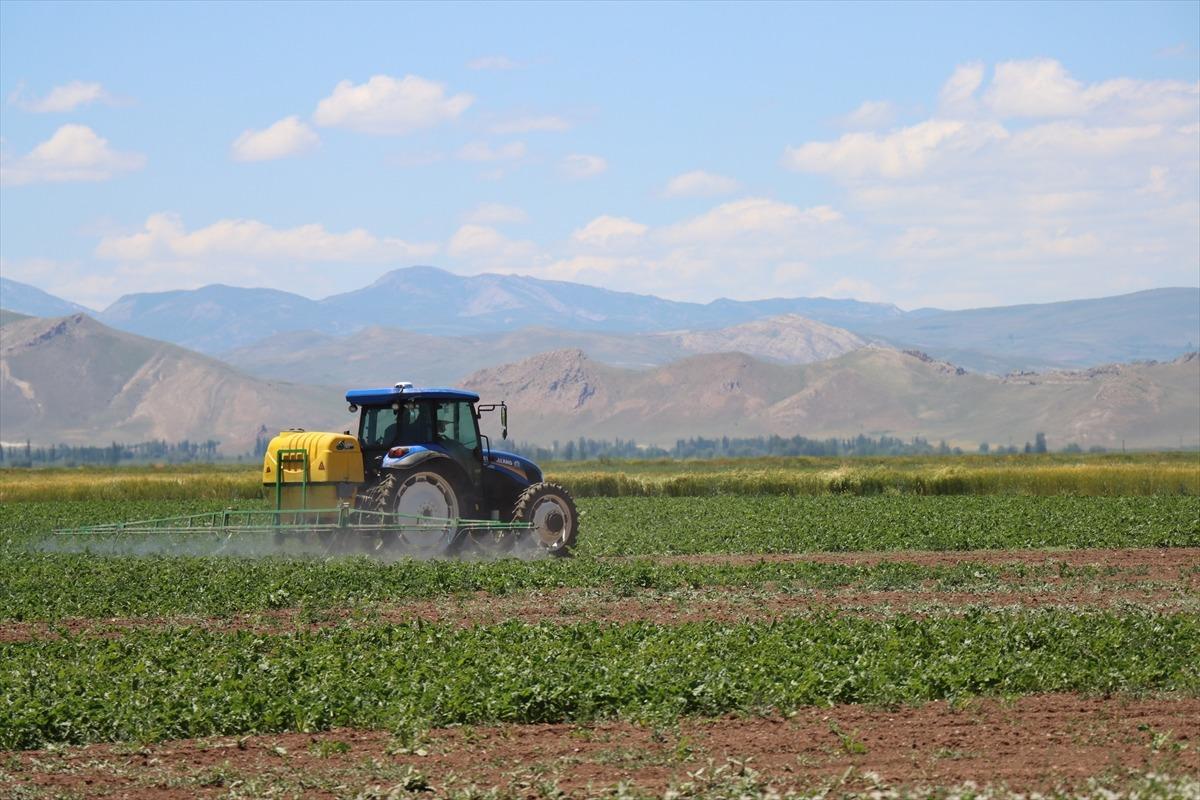Erzincan da tarımsal üretim alternatif ürünlerle güçleniyor 3
