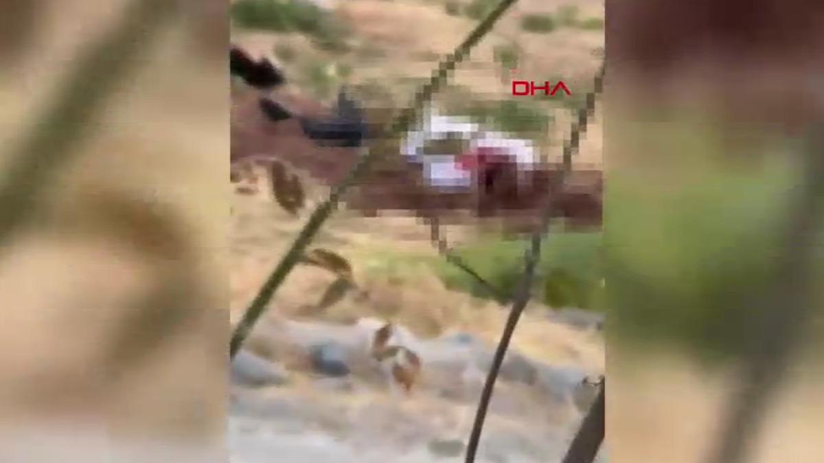 Batman da katliam! Mezarlıkta 3 kişinin cansız bedeni bulundu: AK Partili y&ouml;netici hayatını kaybetti 2