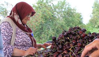 ABD ve Avrupa &ouml;zellikle onu istiyor: Yarışa girdiler