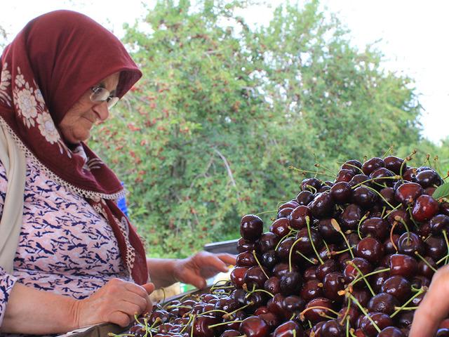 ABD ve Avrupa özellikle onu istiyor: Yarışa girdiler