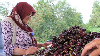 ABD ve Avrupa özellikle onu istiyor: Yarışa girdiler