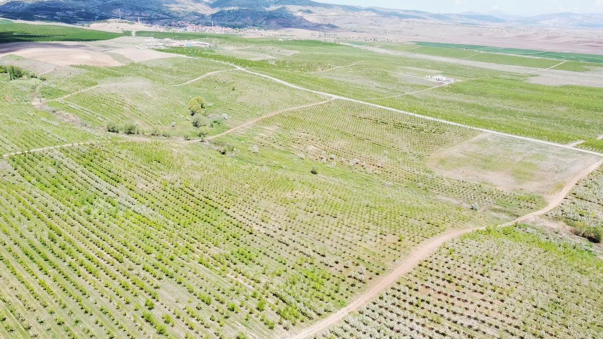 Bir proje k&ouml;y&uuml; tamamen değiştirdi: İşsizlik bitti, g&ouml;&ccedil; durdu 1