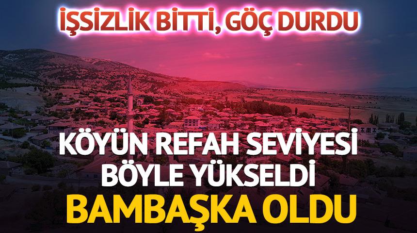 Bir proje köyü tamamen değiştirdi: İşsizlik bitti, göç durdu