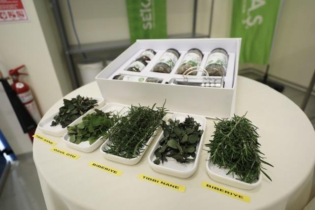 Kocaeli de tıbbi ve aromatik bitki üretiminde 41 türün hasadı yapıldı 4