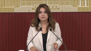 DEM Parti'den 'çerçeve yasa' çıkışı: Teyit edebilirim