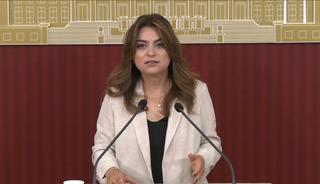 DEM Parti'den '&ccedil;er&ccedil;eve yasa' &ccedil;ıkışı: "Teyit edebilirim"