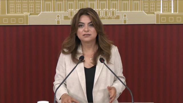 DEM Parti'den 'çerçeve yasa' çıkışı: Teyit edebilirim