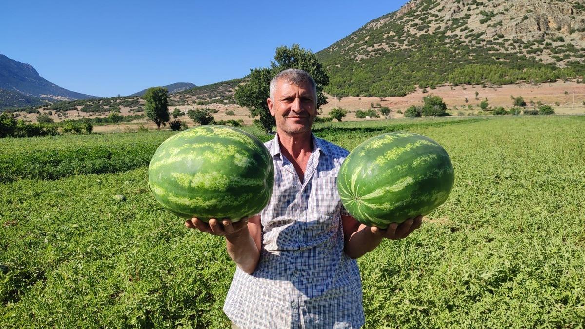 Kilosu 8 TL den satılıyor Bir tadan yine arıyor Gece gündüz farkı rakipsiz yaptı 3