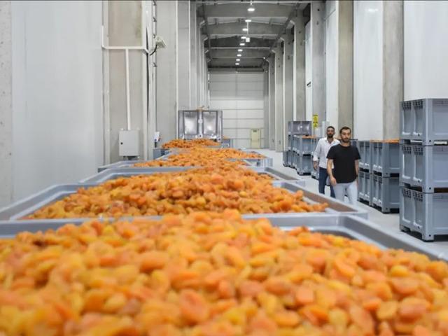 Malatya'da 11 bin ton kapasiteli lisanslı depolar kayısı &uuml;reticilerini bekliyor