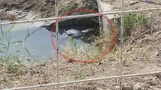 Tekirdağ'ın Şarköy ilçesinde şoke eden olay! Su kanalında bulundu