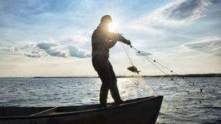 Bu türü avlayana ceza yok, destek var! 13 milyon TL ödendi