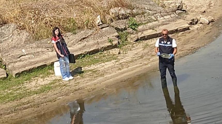 Edirne'de toplu balık &ouml;l&uuml;mlerinin yaşandığı g&ouml;letten numune alındı