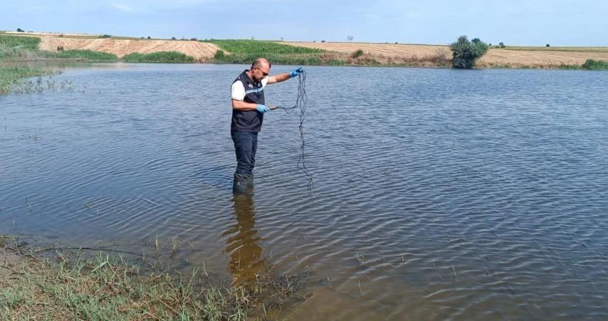 Edirne de toplu balık &ouml;l&uuml;mlerinin yaşandığı g&ouml;letten numune alındı 1