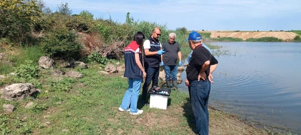 Edirne de toplu balık &ouml;l&uuml;mlerinin yaşandığı g&ouml;letten numune alındı 2