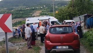 Freni tutmayan hafif ticari ara&ccedil;, anne ile iki &ccedil;ocuğuna &ccedil;arptı