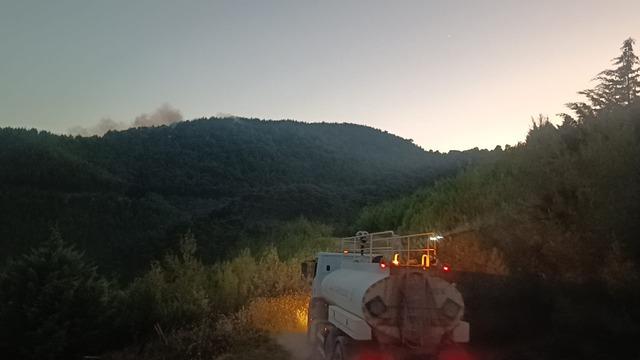 Adana da ormanlık alandaki yangın b&uuml;y&uuml;k oranda kontrol altına alındı 3