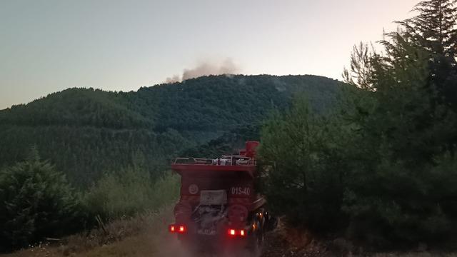 Adana da ormanlık alandaki yangın b&uuml;y&uuml;k oranda kontrol altına alındı 2