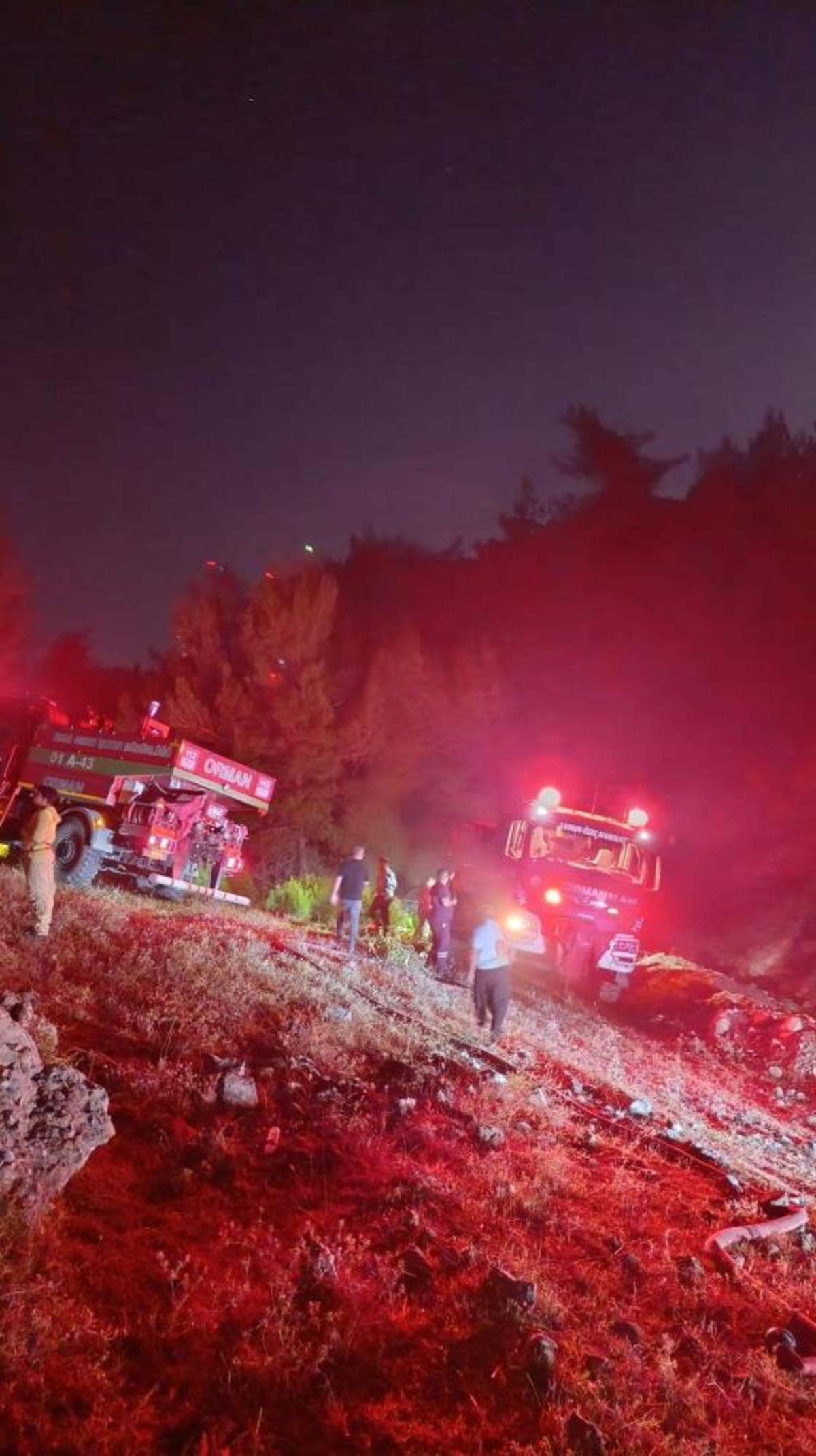 Adana&rsquo;daki orman yangını kontrol altına alındı 1