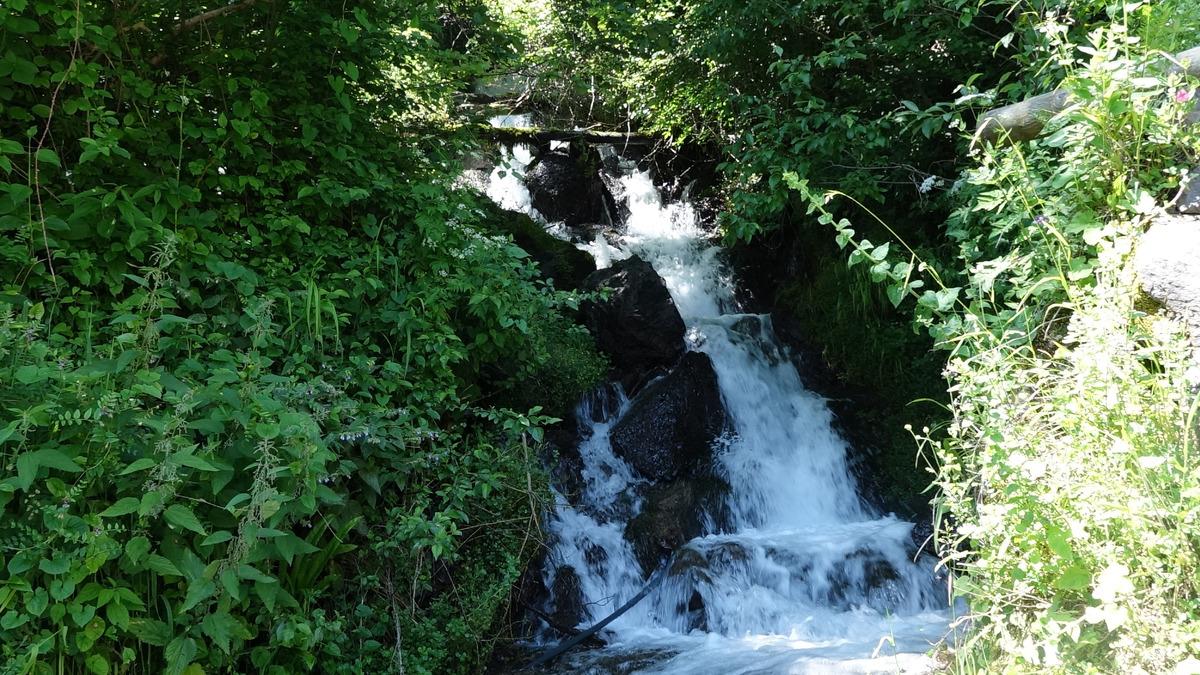 Mahallenin i&ccedil;inden ge&ccedil;ip saniyede 120 litre akıyor!  M&uuml;barek su  deyip i&ccedil;iyorlar 4