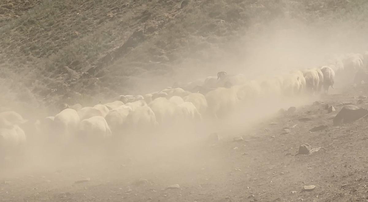 Kavurucu sıcakta yaylalara &ccedil;ıkıp, inci suyu i&ccedil;in ter d&ouml;k&uuml;yorlar! 1