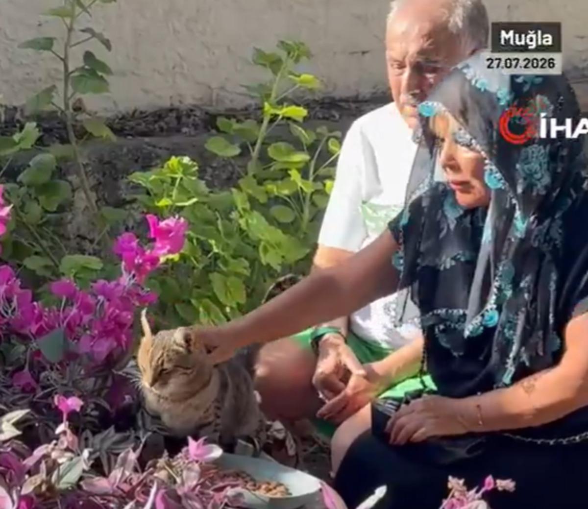 Safiye Soyman oğlunun mezarı başında g&ouml;zyaşlarına boğuldu!   Oğlumun ruhu bu kedide   4