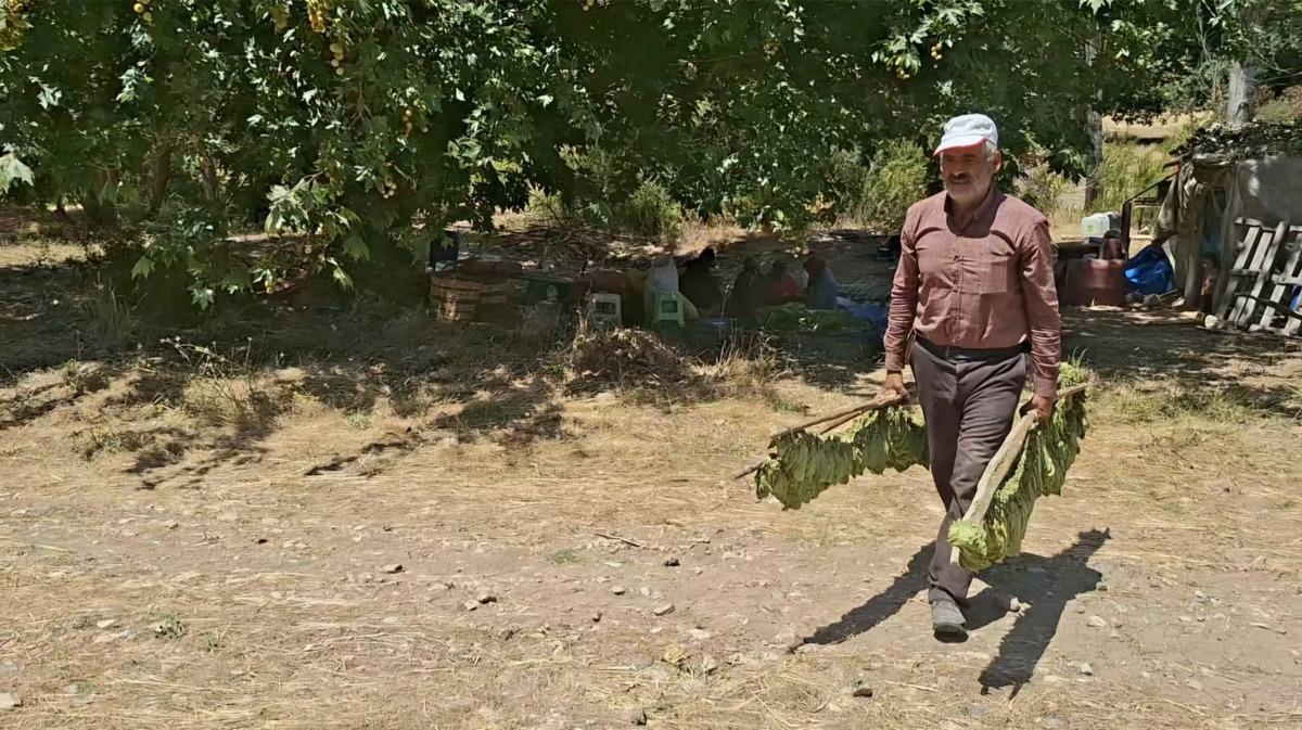 Bir d&ouml;nemin g&ouml;zdesiydi! Şimdi ayakta kalan sadece 3 &uuml;retici var 2