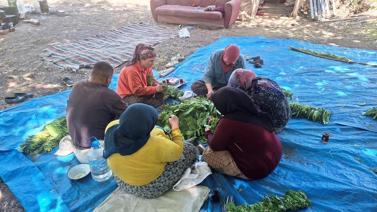 Bir d&ouml;nemin g&ouml;zdesiydi! Şimdi ayakta kalan sadece 3 &uuml;retici var 5