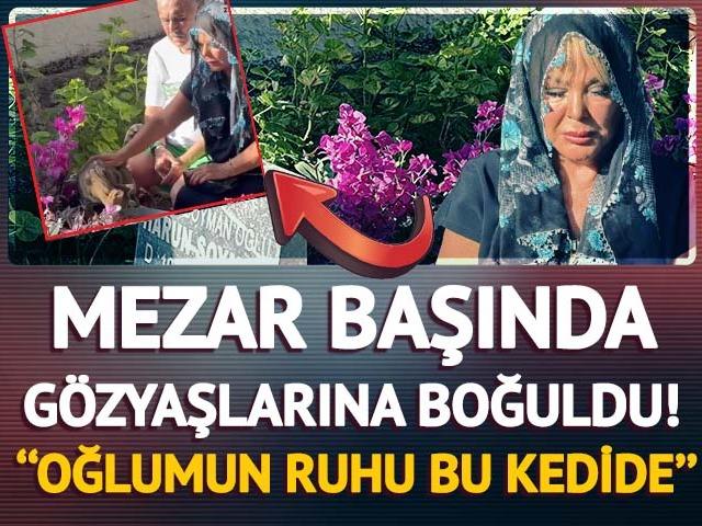 Mezar başında g&ouml;zyaşlarına boğuldu! ''Oğlumun ruhu bu kedide''  