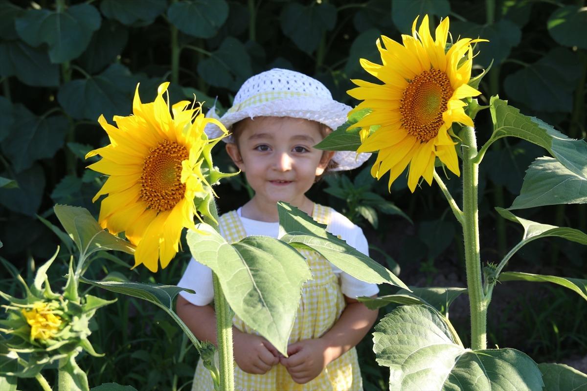 Yolda g&ouml;ren durup iniyor, hızla artıyor:  1302 TL  tercih sebebi oldu 3