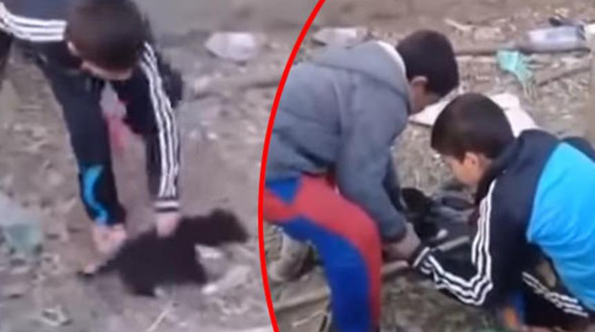 Polisten 'patileri kesilen k&ouml;pekle' provokasyon uyarısı