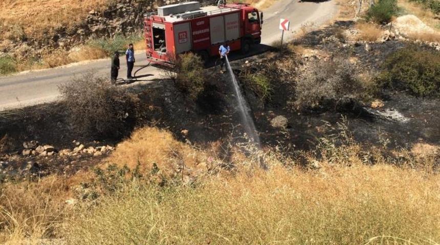 Fıstık tarlasındaki yangına m&uuml;dahale ederken hayatını kaybetti