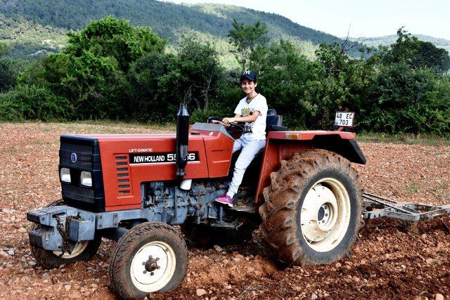 Tarlada çift süren genç kız, molalarda da üniversite sınavına hazırlanıyor