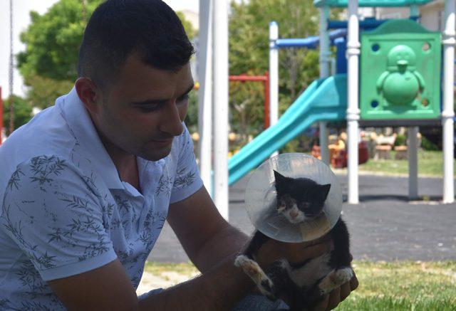 Sıkıştığı araçtan kurtarılan kedinin enfeksiyon nedeni ile bir gözü alındı