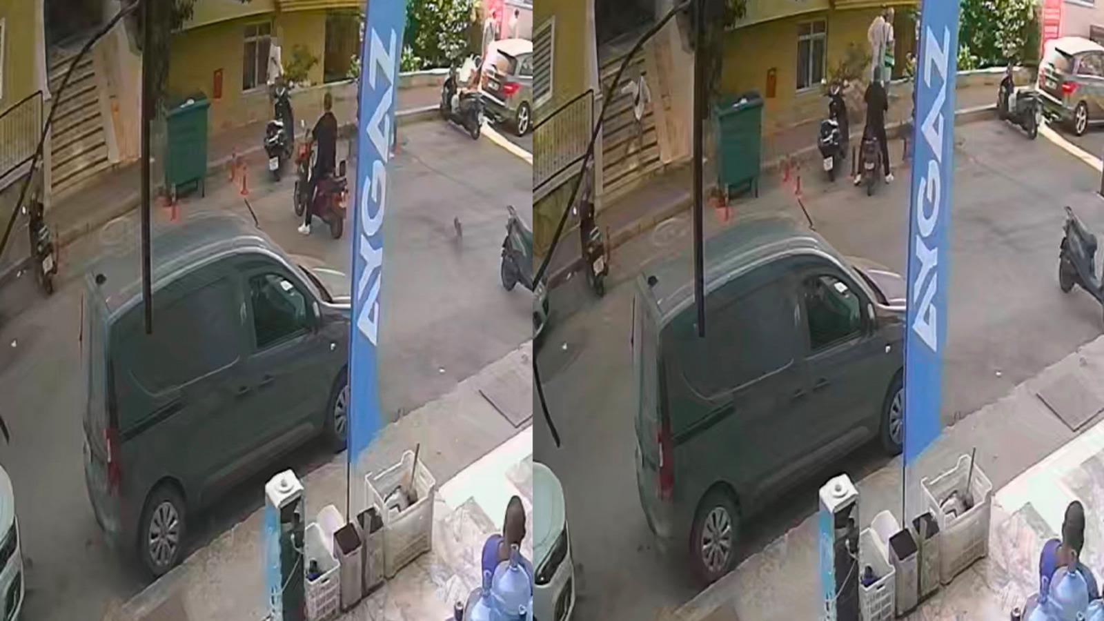 Bunun adı: Canilik! Görüntülere tepki yağdı: Kediyi yerden alıp fırlattı...