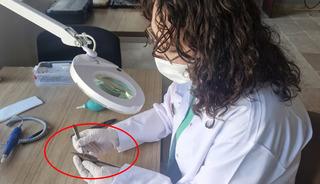 Malazgirt'in 955 yıllık sırrı &ccedil;&ouml;z&uuml;l&uuml;yor! Bizans balista ok u&ccedil;ları ilk kez g&uuml;n y&uuml;z&uuml;ne &ccedil;ıkarıldı