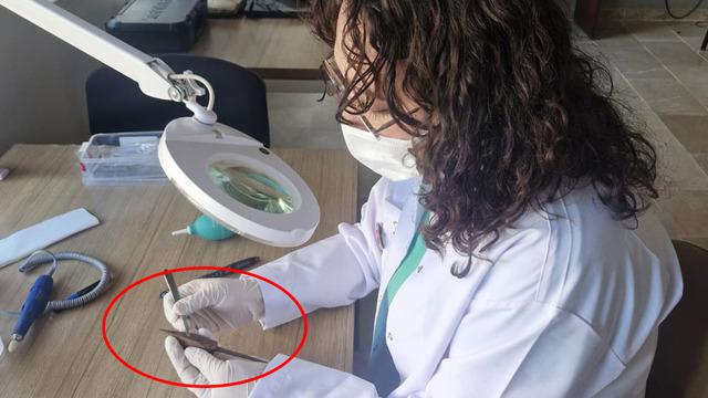 Malazgirt'in 955 yıllık sırrı çözülüyor! Bizans balista ok uçları ilk kez gün yüzüne çıkarıldı
